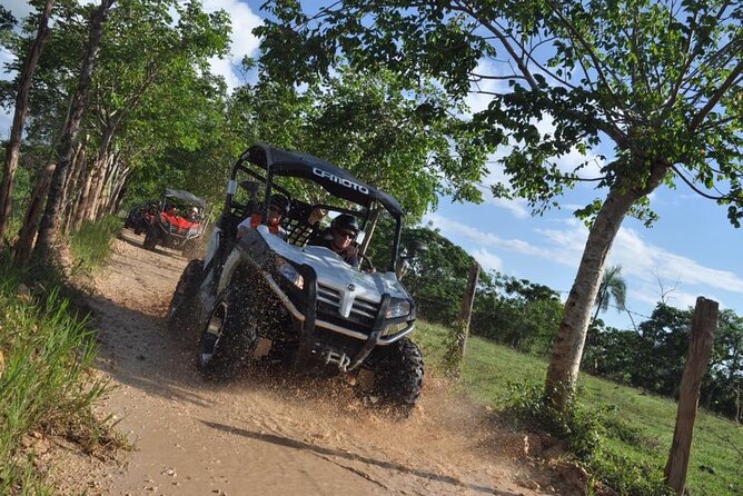 Guided Tour in Polaris (4X4) by Macao Beach, Taino Cave and Typical House - Typical House Stop: Coffee, Cocoa, Chocolate, Tobacco, and Mamajuana