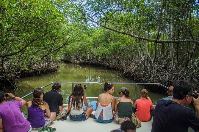 Haitises National Park with Paraiso Caño Hondo & Montaña Redonda - Montana Redonda: your 360-degree warm-up