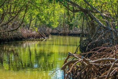 Haitises National Park with Paraiso Caño Hondo & Montaña Redonda - Drive to Sabana de la Mar: the part that tests your patience
