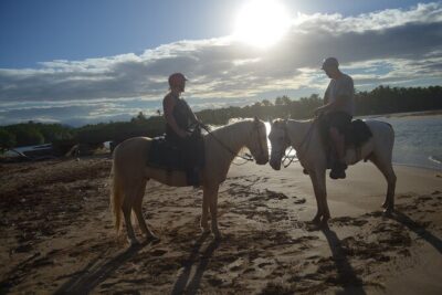 Half Day Buggies and Horseback Experience in Punta Cana - Getting rolling at 7:30am: pickup and the start-time reality