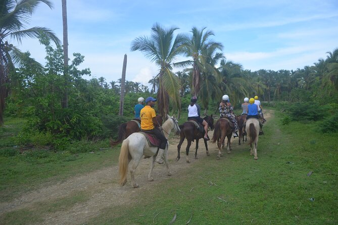 Half Day Buggies and Horseback Experience in Punta Cana - Horseback riding at the ranch/forest: what to expect and how to plan