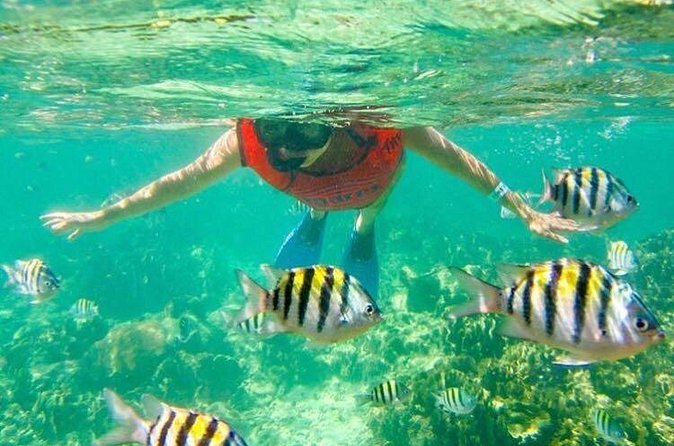 Half Day Catamaran & Snorkeling - Weather, cancellations, and staying flexible on a sunny coast
