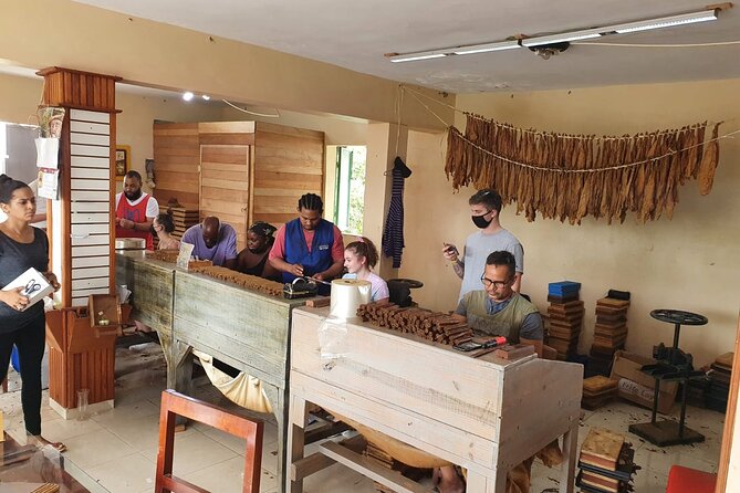 Half Day Dominican Safari for all Family - Sugar cane fields and a typical country house: how daily work shows up
