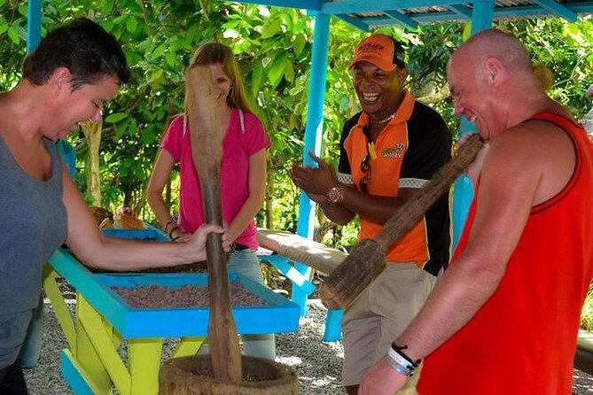 Half Day Punta Cana City Tour - Getting Your Bearings: A Half-Day Loop That Packs a Lot