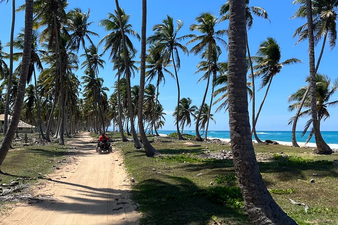 Half Day Safari and ATV or horses from Punta Cana - Key highlights you’ll actually care about