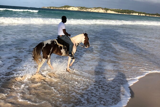 Half-Day Tour 2-in-1, Redonda Mountain & Horseback Riding Tour in Macao Beach - Pace and service details that quietly improve the day
