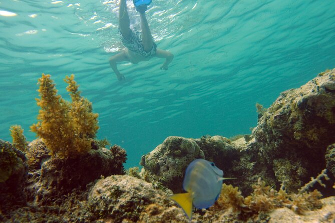 Happy Hour Party Boat With Snorkeling - Drinks and Snacks: How the Open Bar Affects Your Day