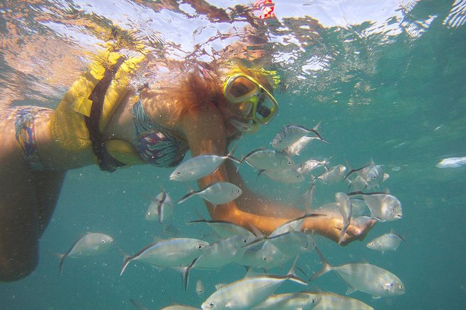 Happy Hour Sailing Cruise from Punta Cana - Marinarium Animal Exhibit and Boarding Pass Prep at the Start