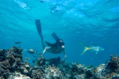 Happy Hour Sailing Cruise from Punta Cana - Guided Snorkeling at the Coral Reef (With Gear Included)