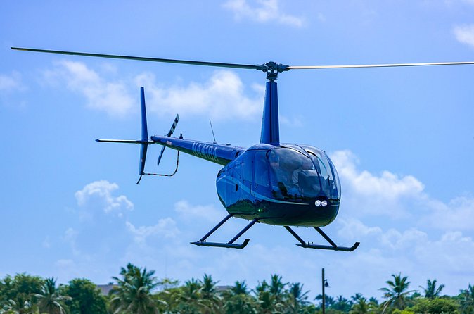 Helicopter tour of Punta Cana - Cabeza De Toro fishing village and the dolphin aquarium segment