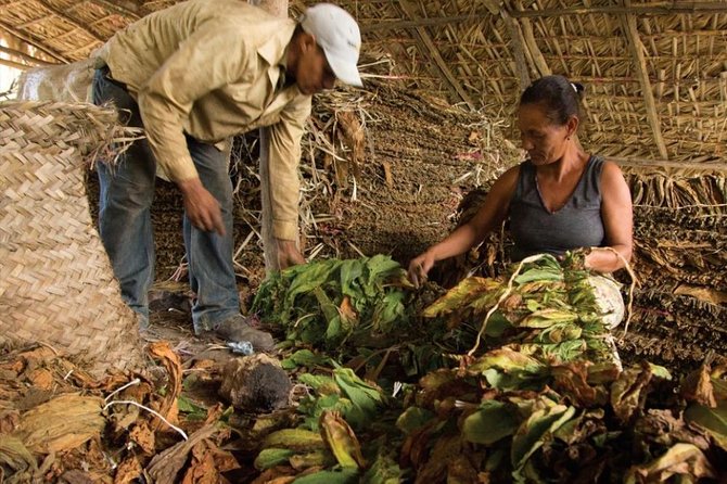 Higuey City Tour - A Cultural Experience From Punta Cana - Should You Book the Higuey City Tour From Punta Cana?