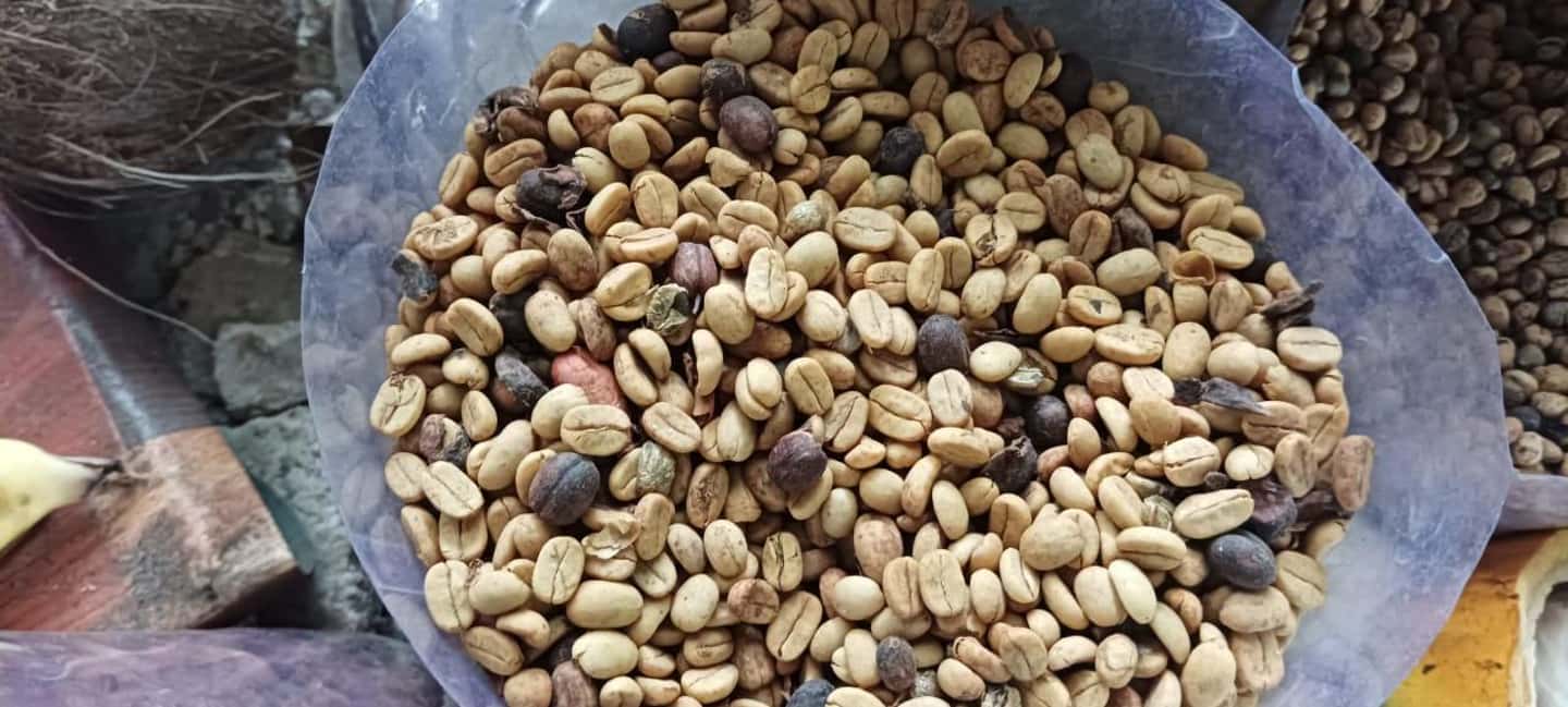 Higuey discovery, coffee and cocoa tasting from punta cana - Key takeaways before you go