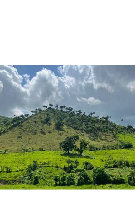 Higuey discovery, coffee and cocoa tasting from punta cana - Anamuya River lunch with swim or hike choice