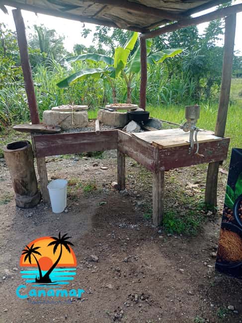 Higuey discovery, coffee and cocoa tasting from punta cana - Macao Beach as a smart ending