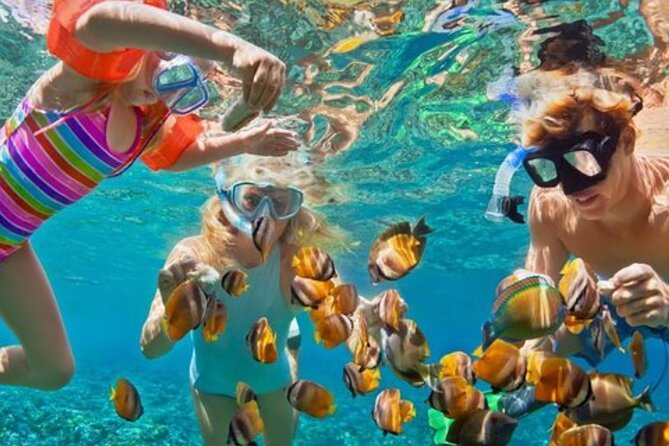 Hip hop party boat cruise & Snorkel: Wonderful time in Punta Cana - Snorkeling Gear Included: How to Get More Out of Your Water Time