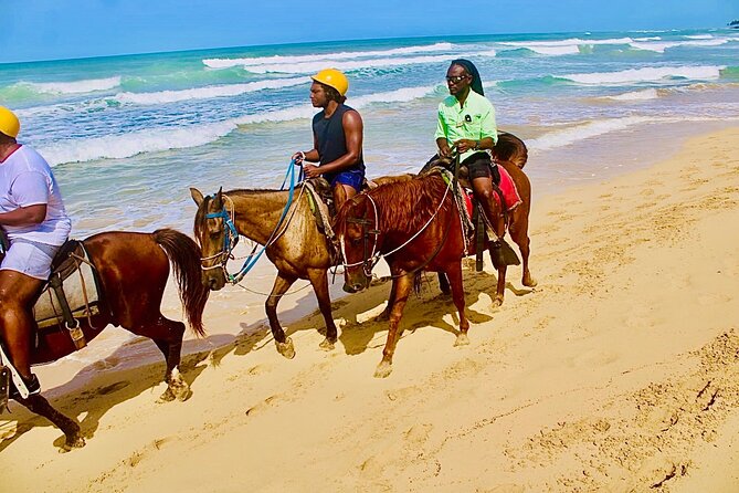Horse Back Riding Adventure in Punta Cana - Punta Cana Horseback Riding: what you’re really paying for