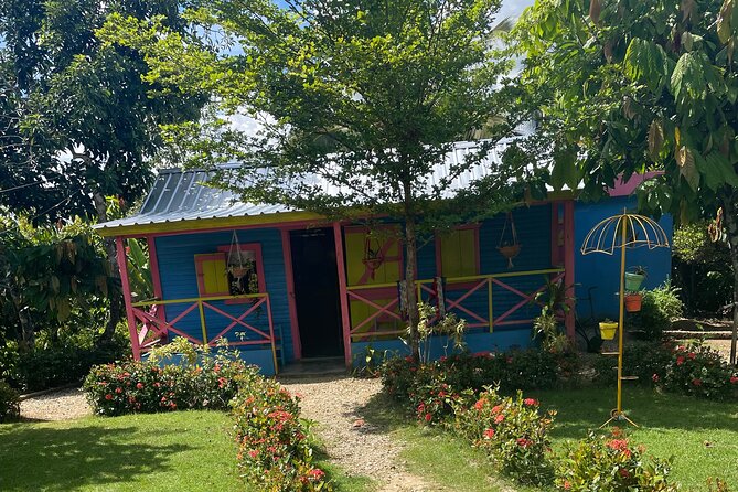 Horse Back Riding Adventure in Punta Cana - Ranch training: helmets, horse introductions, and learning fast