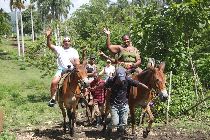 Horse back riding (Punta Cana/Bavaro) - Getting there: pickup, ride timing, and the 3-hour clock