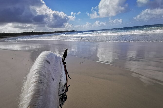 Horse Riding Experience through El Limon Beach - Key points worth knowing