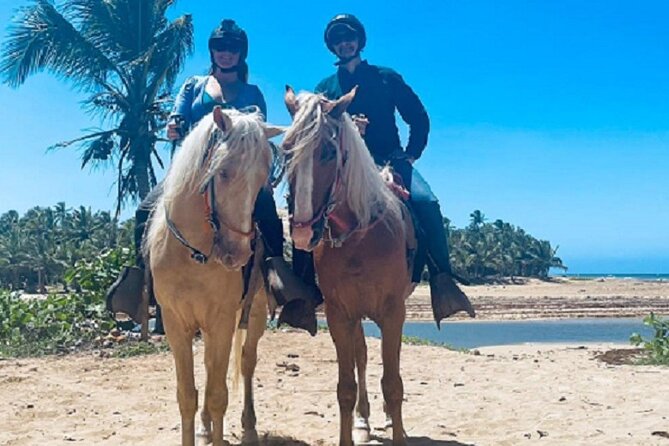 Horse Riding Experience through El Limon Beach - Why this El Limon Beach ride feels different from typical Punta Cana days