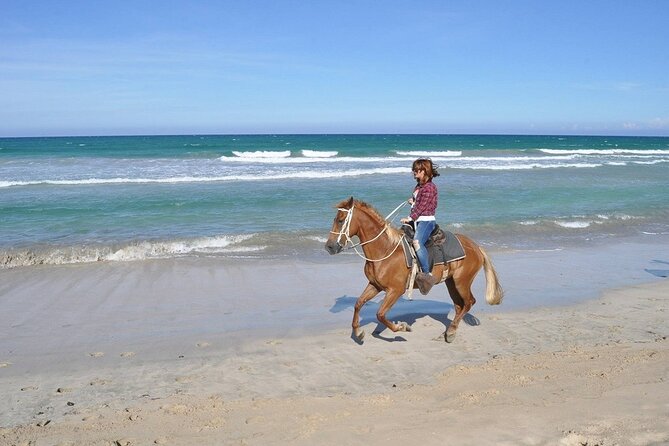 Horse Riding Experience through El Limon Beach - Who this horseback ride suits best (and who should think twice)