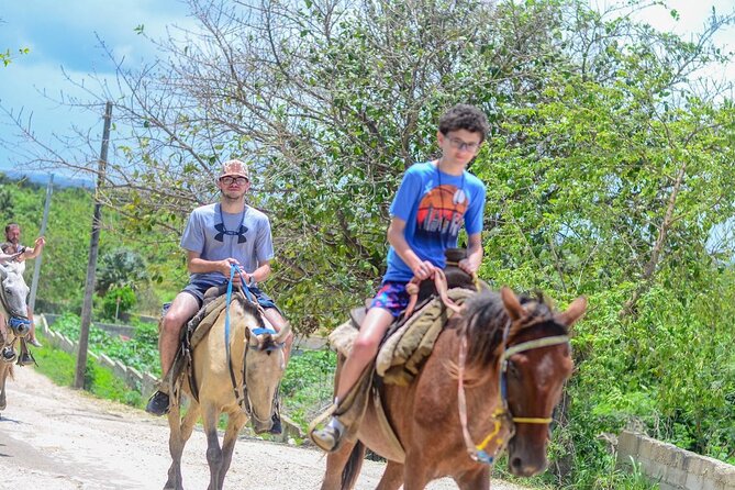 HORSEBACK - RIDE Through Punta Cana - Horse Condition and Service Reliability: What to Watch Before You Mount