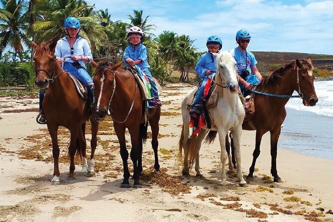 Horseback Riding along the Beach - Key highlights before you go