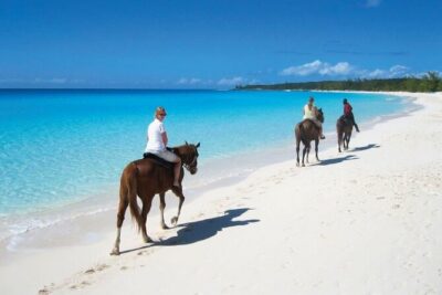 Horseback Riding along the Beach - What You’ll Do on Horseback Across Macao Beach (With Real Access and Real Views)