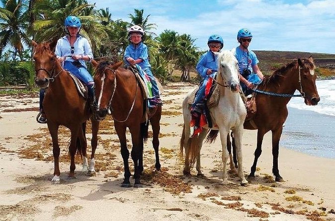Horseback Riding along the Beach - Day 2 on Macao Beach: Another One-Hour Session and More Chances for the Shots
