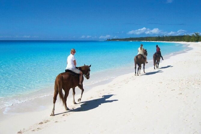 Horseback Riding along the Beach - What You’ll Do on Horseback Across Macao Beach (With Real Access and Real Views)