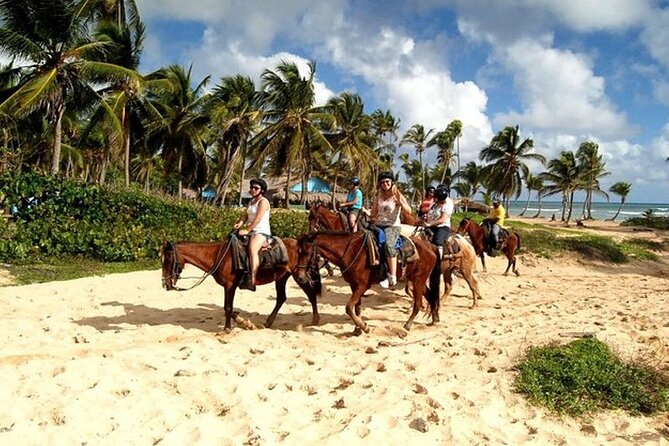 Horseback Riding at Macao Beach - Key things I’d note before you book