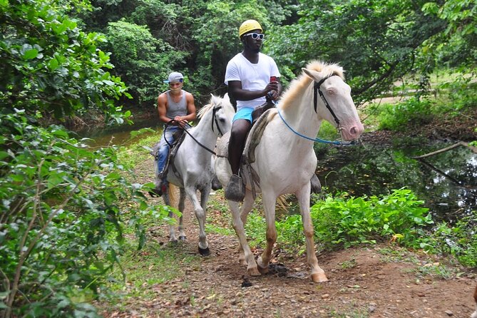 Horseback Riding at Macao Beach - Why a private Macao Beach ride costs $69.99 (and feels fair)