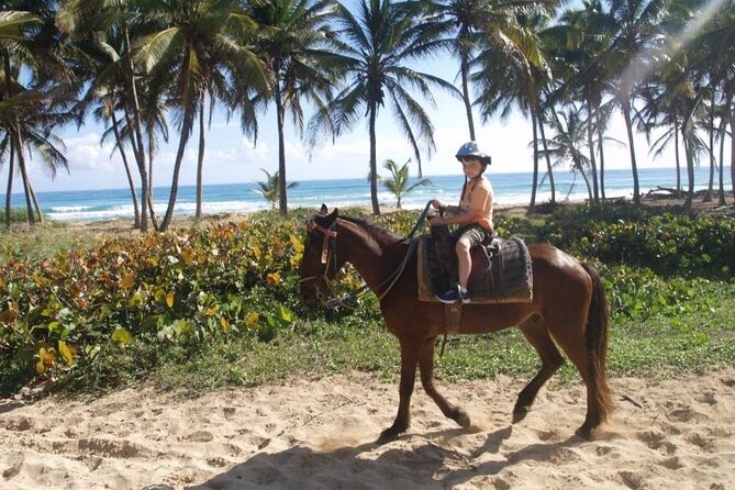 Horseback Riding at Macao Beach - Cigar and mamajuana tastings: the stop that turns a ride into a story