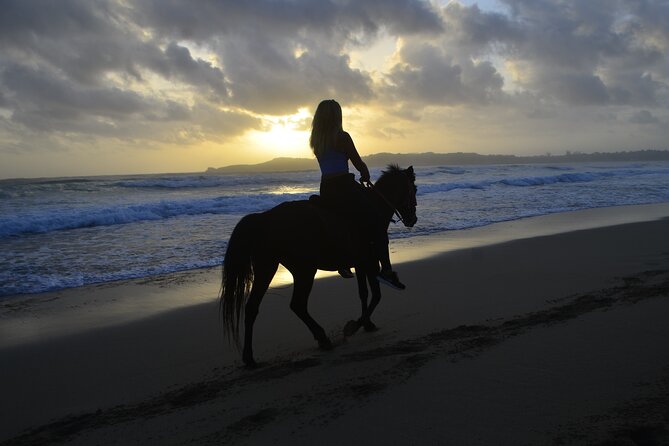 Horseback Riding at Sunrise on the Beach of Punta Cana - Key Highlights Worth Knowing