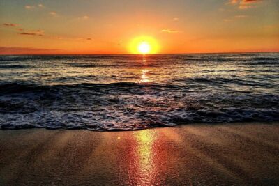 Horseback Riding at Sunrise on the Beach of Punta Cana - The 90-Minute Timeline: How the Morning Usually Flows
