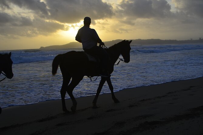 Horseback Riding at Sunrise on the Beach of Punta Cana - Practical Tips for a Better Sunrise Ride (Especially for Photos)