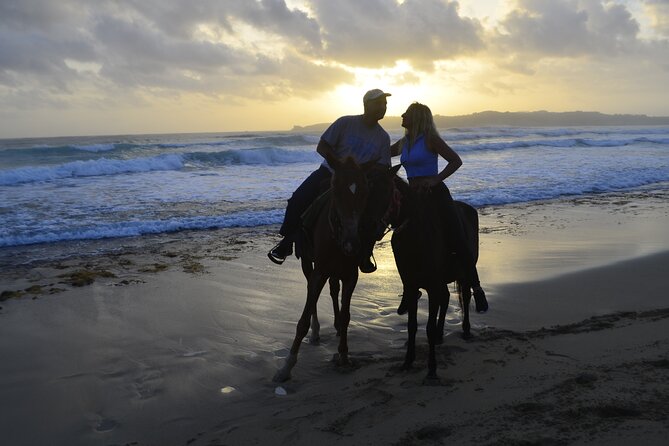 Horseback Riding at Sunrise on the Beach of Punta Cana - Who This Tour Is Best For (And Who Might Skip It)