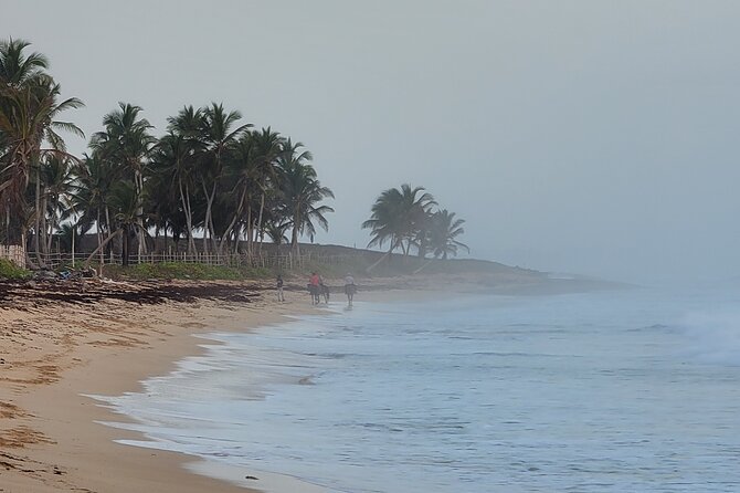 Horseback Riding at Sunrise on the Beach of Punta Cana - Should You Book Horseback Riding at Sunrise on the Beach?