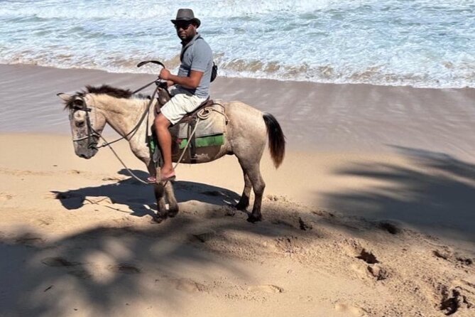 Horseback Riding Experience in Punta Cana - Price and Value: Is $69 a good deal in Punta Cana?