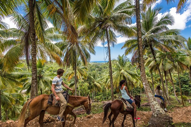 Horseback Riding in the Dominican Jungle - Key Highlights You’ll Actually Notice
