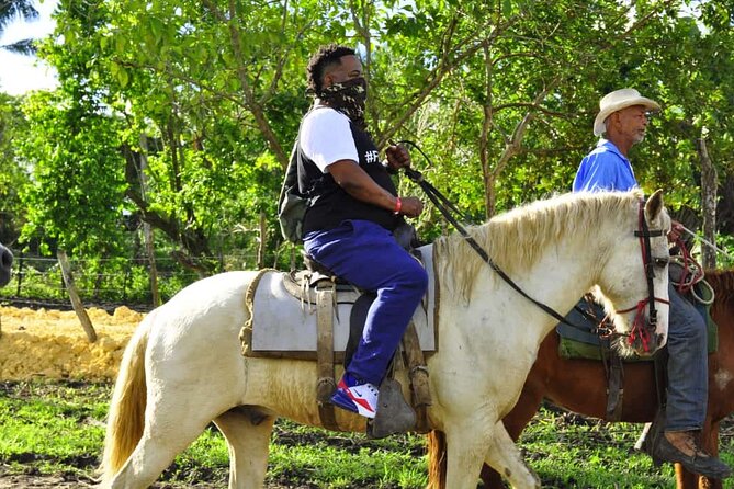 Horseback Riding in the Dominican Jungle - Your Money’s Worth: $69.99 for Three Experiences in One