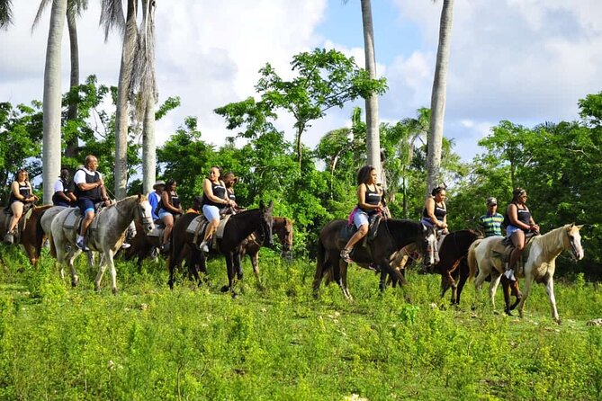 Horseback Riding in the Dominican Jungle - Who This Punta Cana Horse Ride and Saona Combo Is Best For