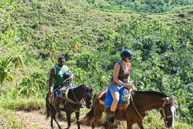 Horseback Riding in the Dominican Jungle - Should You Book This Tour?