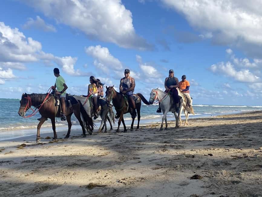 Horseback Riding Macao Beach Experience Paradise onHorseback - Quick Take: Is This Worth Your Time?