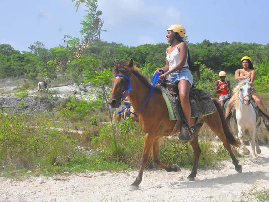Horseback Riding Macao Beach Experience Paradise onHorseback - Horseback to Playa Macao: What You’re Really Buying for About $40