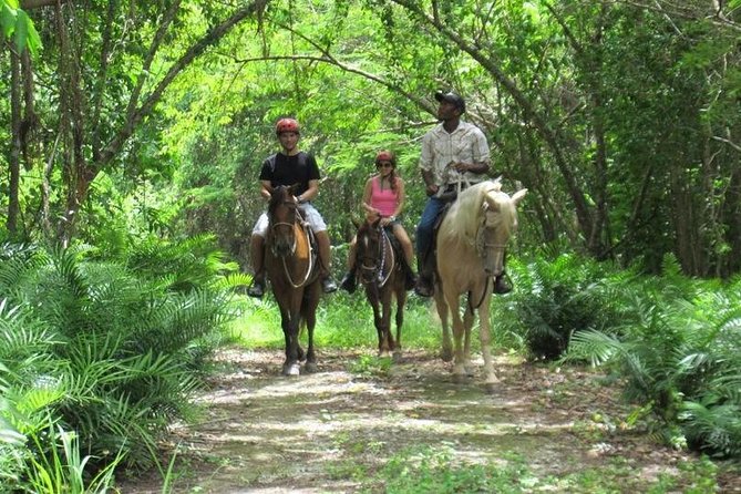 Horseback Riding on the Beach in Punta Cana (One Hour) - What the ride actually feels like (and why the guide matters)