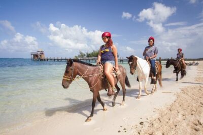 Horseback Riding on the Beach in Punta Cana (One Hour) - The itinerary in plain English: how the hour on horseback breaks down