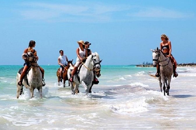 Horseback Riding on the Beach in Punta Cana (One Hour) - Price and value: is $58 a fair deal?
