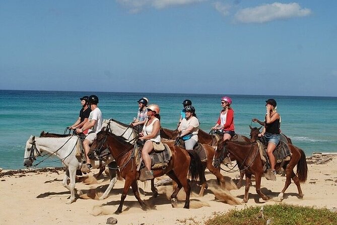 Horseback Riding on the Beaches of Punta Cana - Key Things I’d Pay Attention To