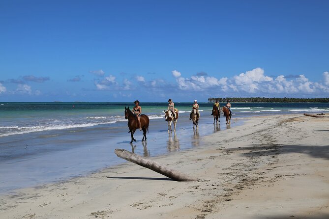Horseback Riding on the Beaches of Punta Cana - Guides, Safety, and the Comfort Factor for First-Timers
